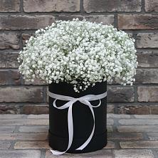 Цветочная композиция из Гипсофила в шляпной коробке в Предивинске